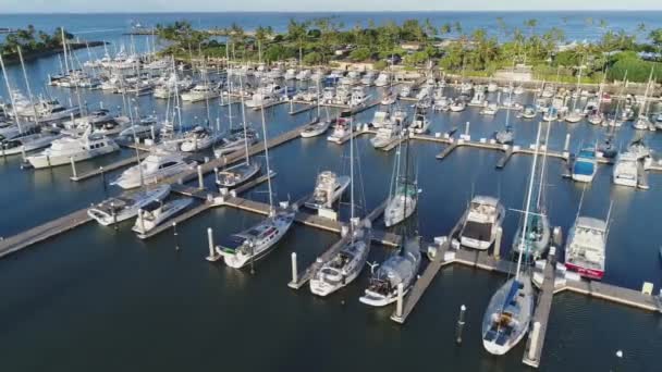 Olina Marina Panorama Plachetnice Zaparkované Palm Nábřeží Hawaii Letecké Sledování — Stock video