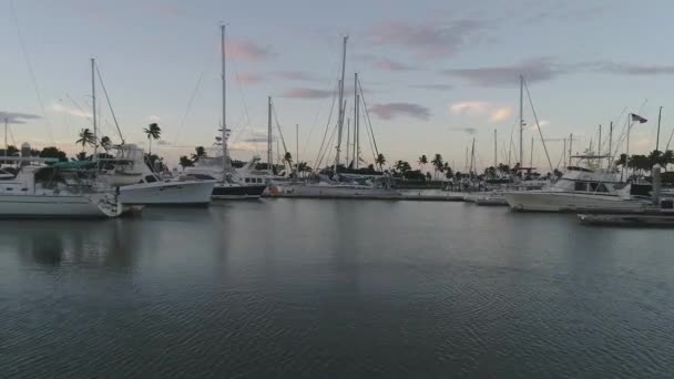 Barcos Vela Tração Aérea Ancorados Marina Durante Pôr Sol Havaí — Vídeo de Stock