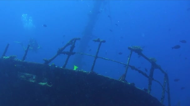 Female Scuba Diver Swimming Shipwreck — Vídeos de Stock