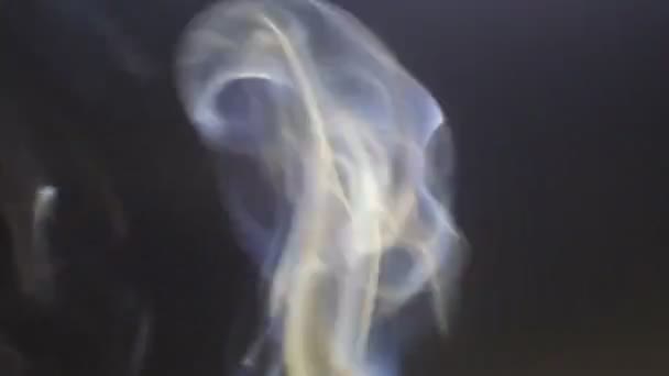 Smoke Mosquito Coil Slow Motion — Video Stock