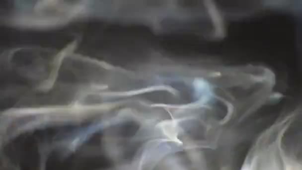 Kouř Komáří Cívky Zpomaleném Pohybu Bílý Kouř Pomalu Plovoucí Prostorem — Stock video