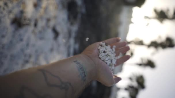 Trümmer Sandtropfen Popcorn Strand Fuerteventura — Stockvideo