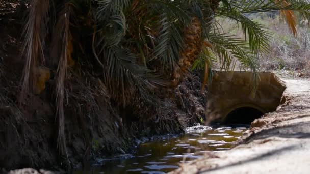 Agua Que Fluye Través Una Zanja Drenaje Clima Tropical — Vídeo de stock