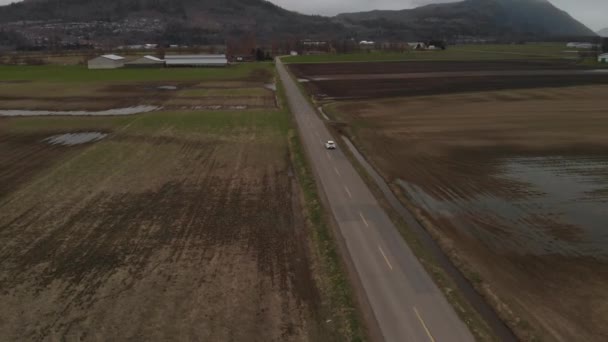 Voiture Blanche Conduisant Long Route Agricole Entourée Herbe Champs Bruns — Video