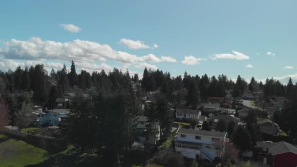 Piękny Park Miejski Delta Jasny Niebieski Dzień Spokojny Relaks Aerial — Wideo stockowe