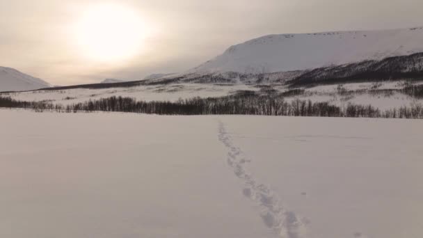 Μονοπάτι Πατημασιές Στο Χιόνι Ένα Όμορφο Φυσικό Τοπίο Στο Φόντο — Αρχείο Βίντεο