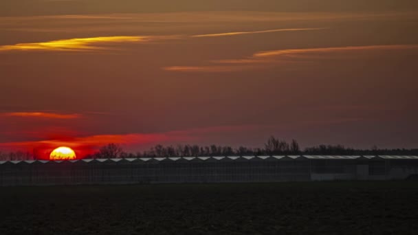 Stunning Golden Sunrise Greenhouses Farm Time Lapse — Stock video