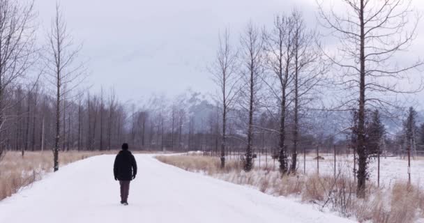 Człowiek Spacerujący Śnieżnej Drodze — Wideo stockowe