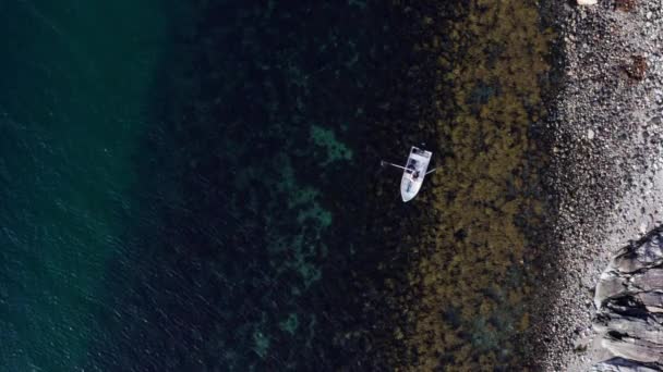 Person Boat Paddles Clear Blue Waters Shore Vikan Indre Fosen — Vídeo de Stock