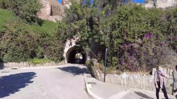 Pár Stojící Vedle Silnice Vedoucí Proslulé Turistické Atrakci Castillo Gibralfaro — Stock video