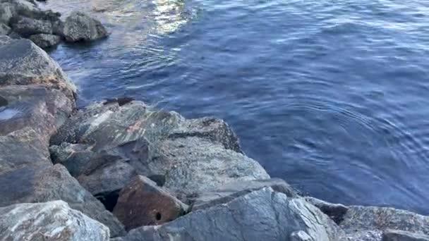Panorámica Lesund Harbor Desde Tranquilas Tranquilas Rocas Agua Las Cabañas — Vídeos de Stock