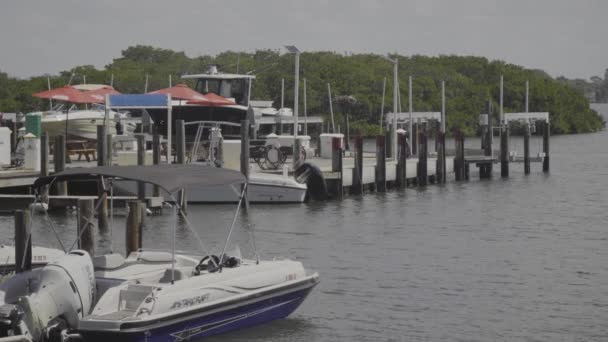 Footage Boat Dock Beautiful Sunny Day — Stock video