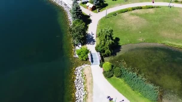 美丽的夏日 骑单车在市中心的湖畔小径上骑行 — 图库视频影像