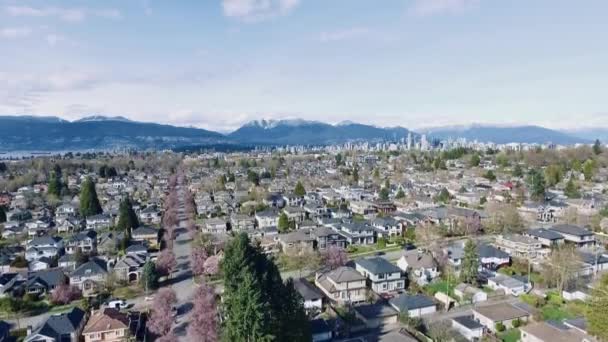 Vancouver Unberührte Gemeinschaften Frühling Mit Blick Auf Die Innenstadt — Stockvideo