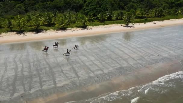 Aerial View Riders Horses Galloping Beach Horses Running Beach Itaparica — стоковое видео