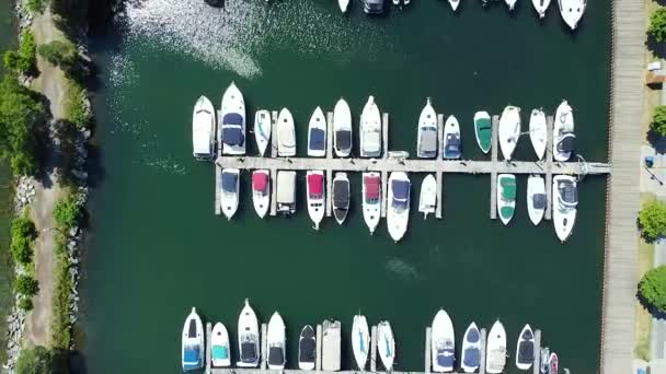 Drone Aerial Shot Top Downtown Motorboat Yacht Marina Summertime — Vídeo de Stock