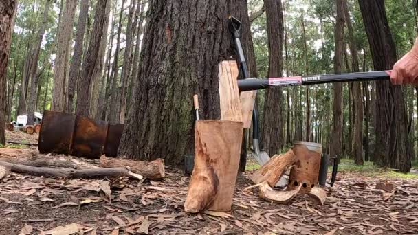 Chopping Wood Campfire Bush Slow Motion — Video