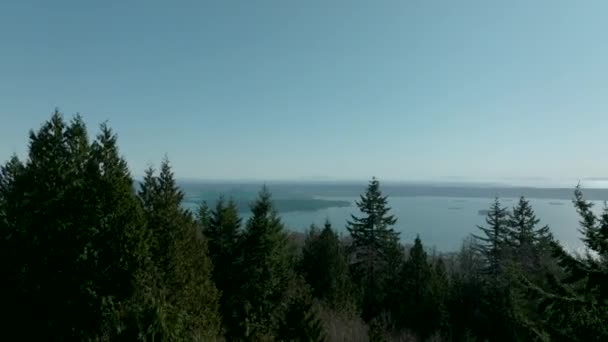 Centrum Vancouveru Stanley Park Hor Severním Pobřeží Lionsgate Bridge Vidět — Stock video