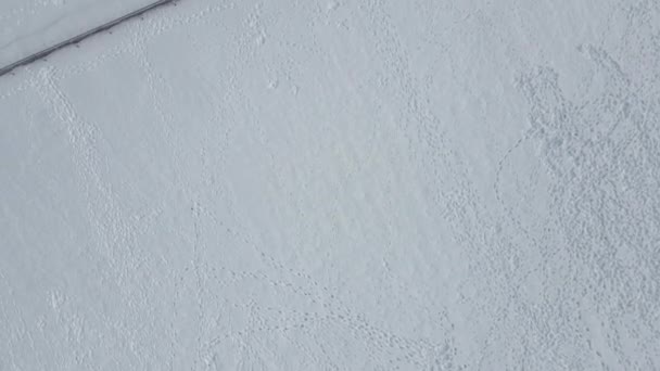 Снег Городе Фиджеральд Сент Катаринс Онтарио Канада Граничащий Региональным Районом — стоковое видео