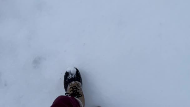 Person Boots Walking Snow Covered Street Winter Pov — Stockvideo