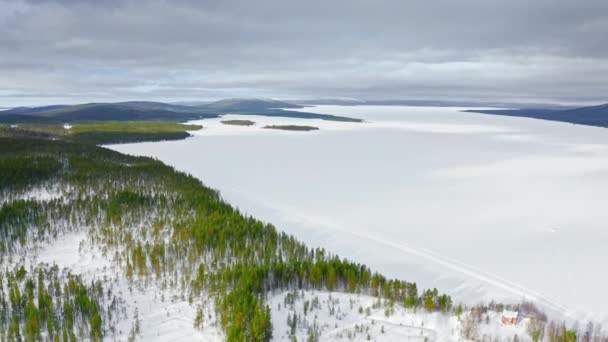 Flyg Över Evergreen Woodland Och Frusen Rymlig Sjö Vintern — Stockvideo