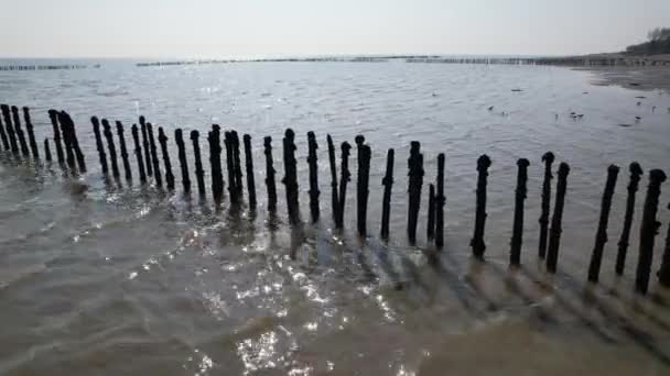 Eski Ahşap Direkler Denize Bırakılmış Karasu Nehrinde Balık Kapanları Batı — Stok video