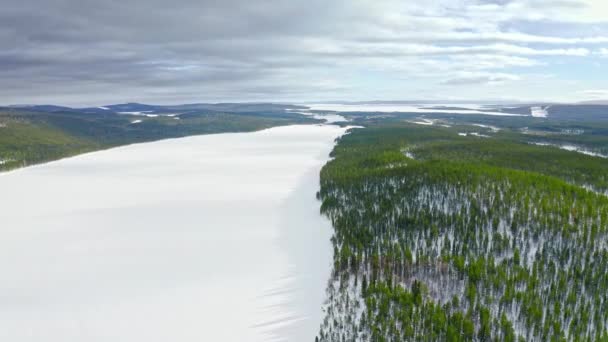 Flying Frozen Wide River Spacious Evergreen Woodland Area — Video