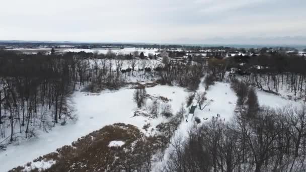 Pine Fall Season Falled Leaves Richardson Creek Catharines Ontario — Stock videók