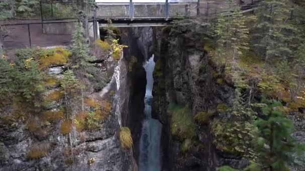 Maligne River Slot Canyon Waterfalls Bridge Natural Wonder Jasper National — Vídeo de Stock