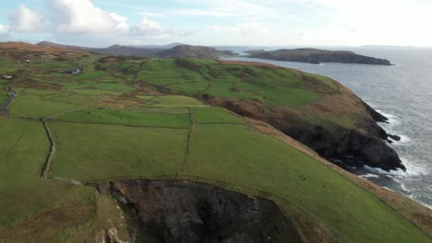 Aerial View Amazing Green Coastal Fields South Ireland Meadows Animals — Stock Video