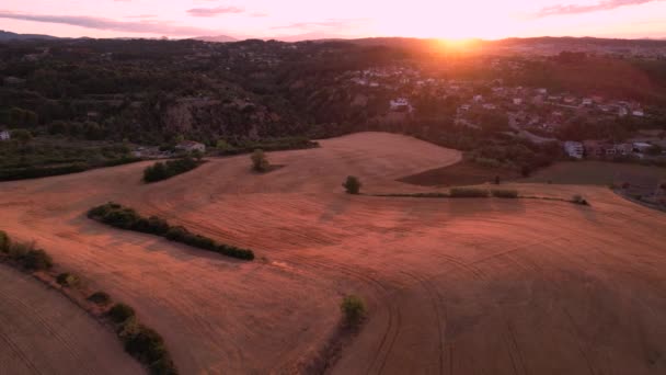 Aerial Orange Sunrise Wheat Fields Catalonia Dolly Right Tilt — Vídeos de Stock