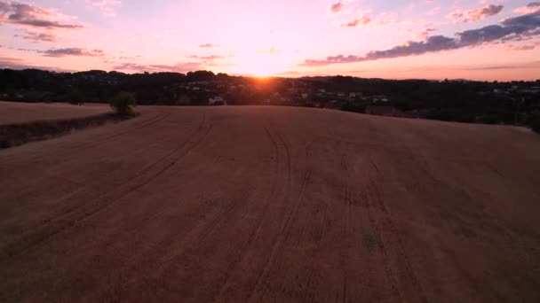 Aerial Wheat Fields Orange Sunrise Catalonia Baix Llobregat Area Dolly — Stockvideo