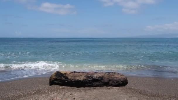 Sea Waves Splashing Beach Tree Log Sand Wide — стоковое видео