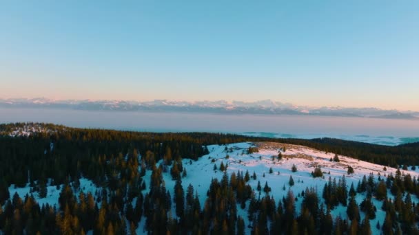 レイク レマンの概要 スイスのヴォー州の冬の夕日にモミの木の森を持つジュラ山脈から 遠くの背景にモンブラン 横空中 — ストック動画