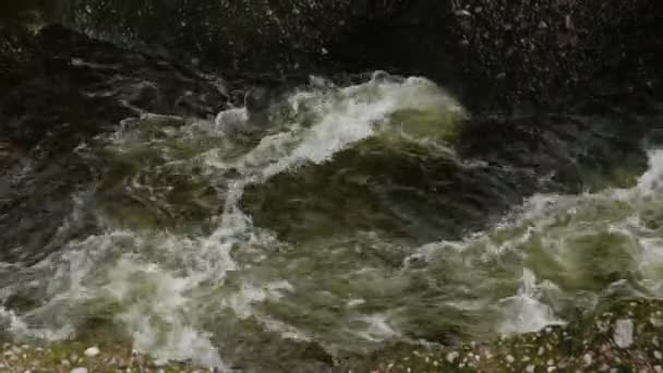 在苏格兰的孤岛岩石上 深绿色的淡水沿着北伊斯克河流过一条峡谷 在一场大风暴之后 悬在悬崖边上的是刮风的树木 — 图库视频影像