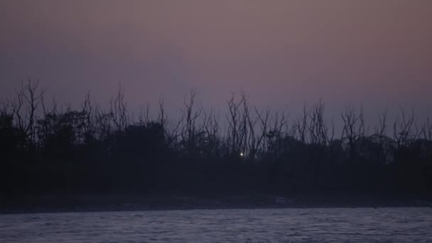 Silhouette Bare Trees Bank Ganges River Rishikesh India Night Wide — Stock videók