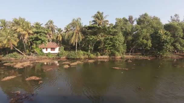 Tropical Vegetation River Shores Alappuzha Alleppey India Side Shot Boat — Stock Video