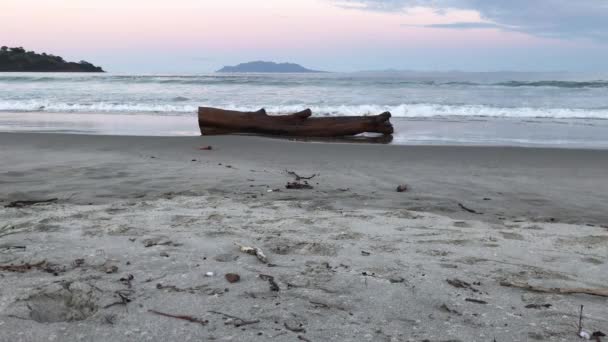 Θαλάσσια Κύματα Πέφτουν Στην Ακτή Προς Έναν Εγκαταλελειμμένο Κορμό Δέντρου — Αρχείο Βίντεο