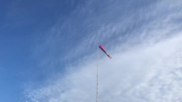 Rainbow Colored Wind Sock Blowing Wind Bright Blue Sky — Stock video