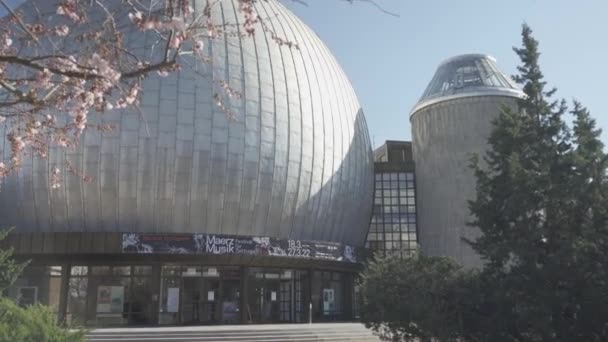 Планетологи Идущие Навстречу Цветущие Цветы Весной Берлин Германия — стоковое видео