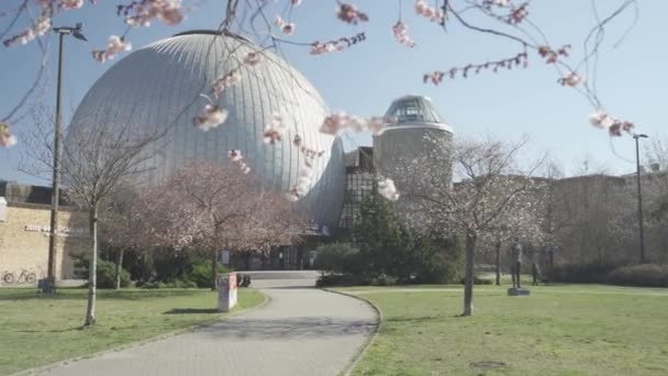 Zeiss Group Planetarium Walking Sideways Blooming Flowers Spring Time Berlin — Stock Video