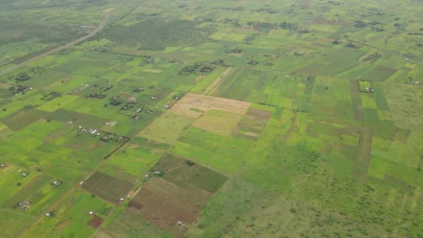 Paisagem Rural Terras Verdes Loitokitok Sul Quênia Vista Aérea — Vídeo de Stock