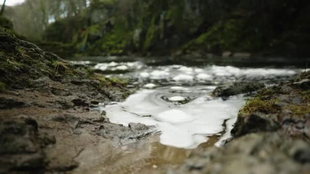 泡沫泡沫在北伊斯克河 苏格兰 水面上漂浮的时间间隔 同时缓慢地撞击河岸 一条河从后面奔涌而过 在涡流中旋转着泡沫 — 图库视频影像