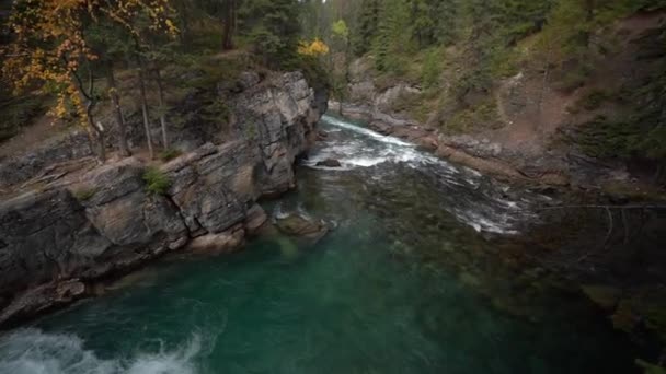 Cañón Del Río Maligne Parque Nacional Jasper Canadá Rápidos Agua — Vídeos de Stock