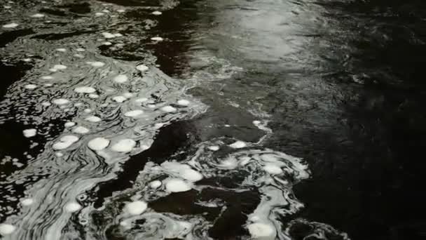 Burbujas Espuma Flotando Superficie Del Agua Río Esk Norte Escocia — Vídeo de stock