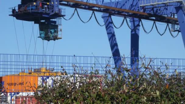 Transporte Contêiner Guindaste Elevador Carga Pesada Estaleiro Contentores Embarque Para — Vídeo de Stock