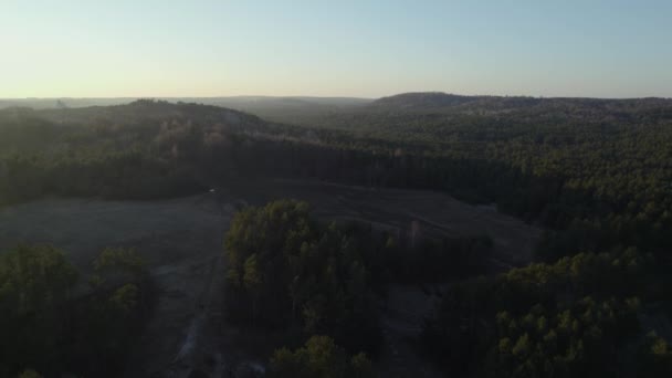 Drone Flying Backwards Revealing Huge European Royal Castle Forest — ストック動画