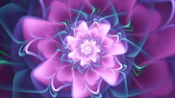 Hypnotic Flower Swirl Seamless Looping Abstract Kaleidoscope Cosmic Fractal Music — Wideo stockowe