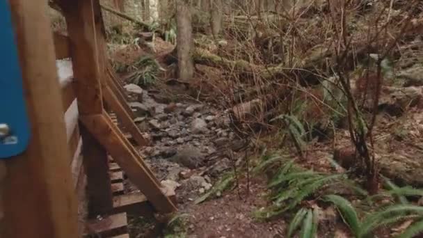 Walking Trail Creek Buntzen Lake Recreation Anmore Coquitlam Pov Wide — Vídeo de stock