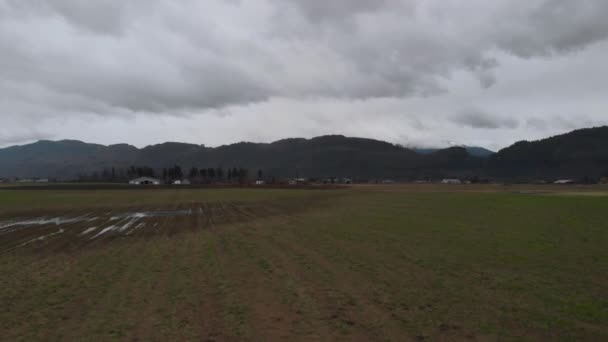 曇りの日に山に囲まれた田舎の谷の農場で野菜の行の農地フィールド背景に空中上昇明らかにファーム山 — ストック動画
